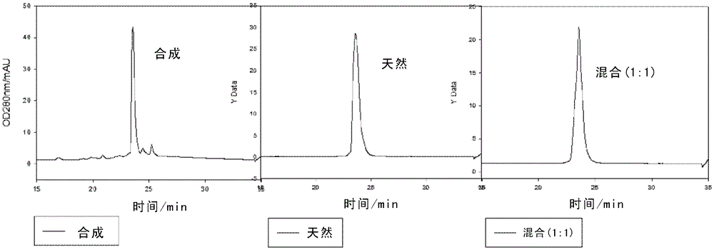 Polypeptide Inhibitors for Virus Inhibition