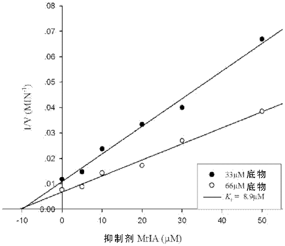 Polypeptide Inhibitors for Virus Inhibition