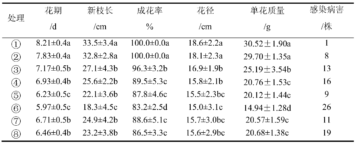 A kind of preparation method of compound microbial bacterial fertilizer for root irrigation of peony