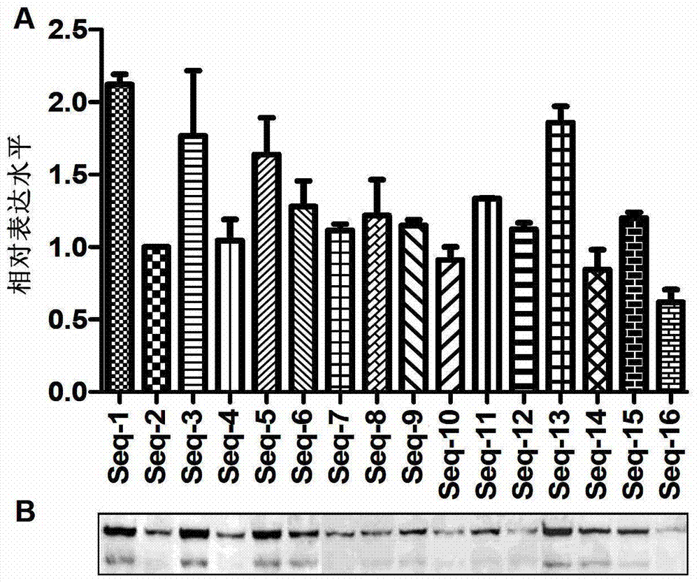 Trivalent vaccine against human papilloma virus and its preparation and use