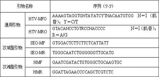 Hantavirus integrated nucleic acid detection kit and detection method