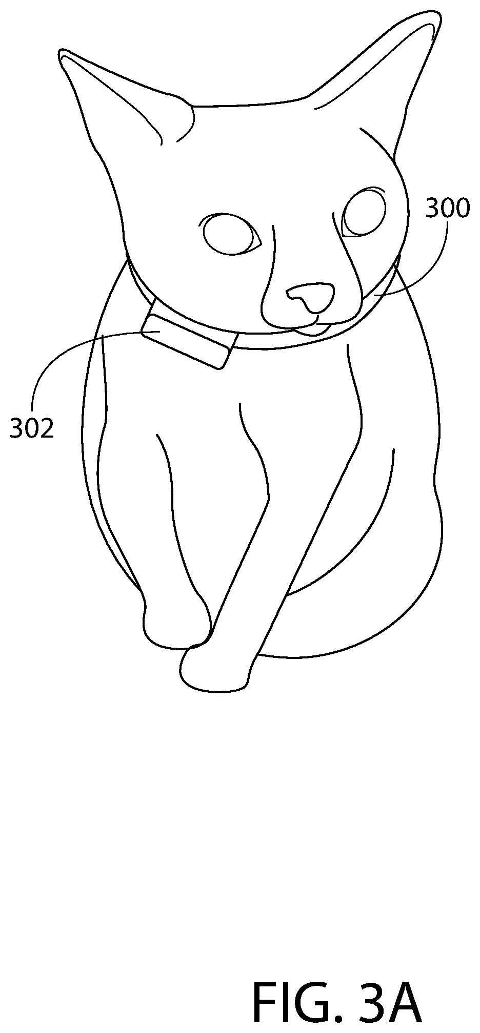 System and Method for Monitoring Motion of an Animal