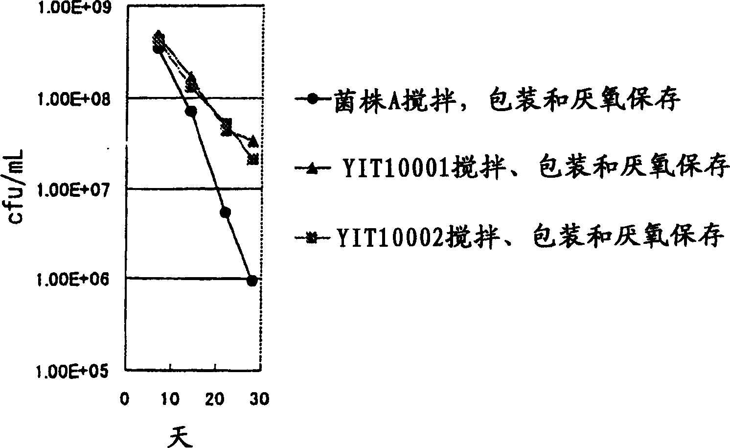 Bacterium of the genus bifidobacterium and fermented foods using the same