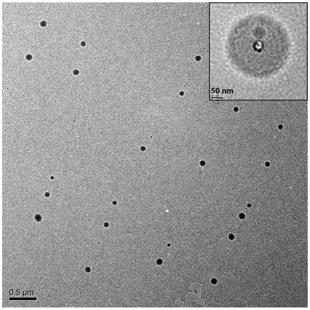 Water-soluble multi-block copolymer and preparation method thereof