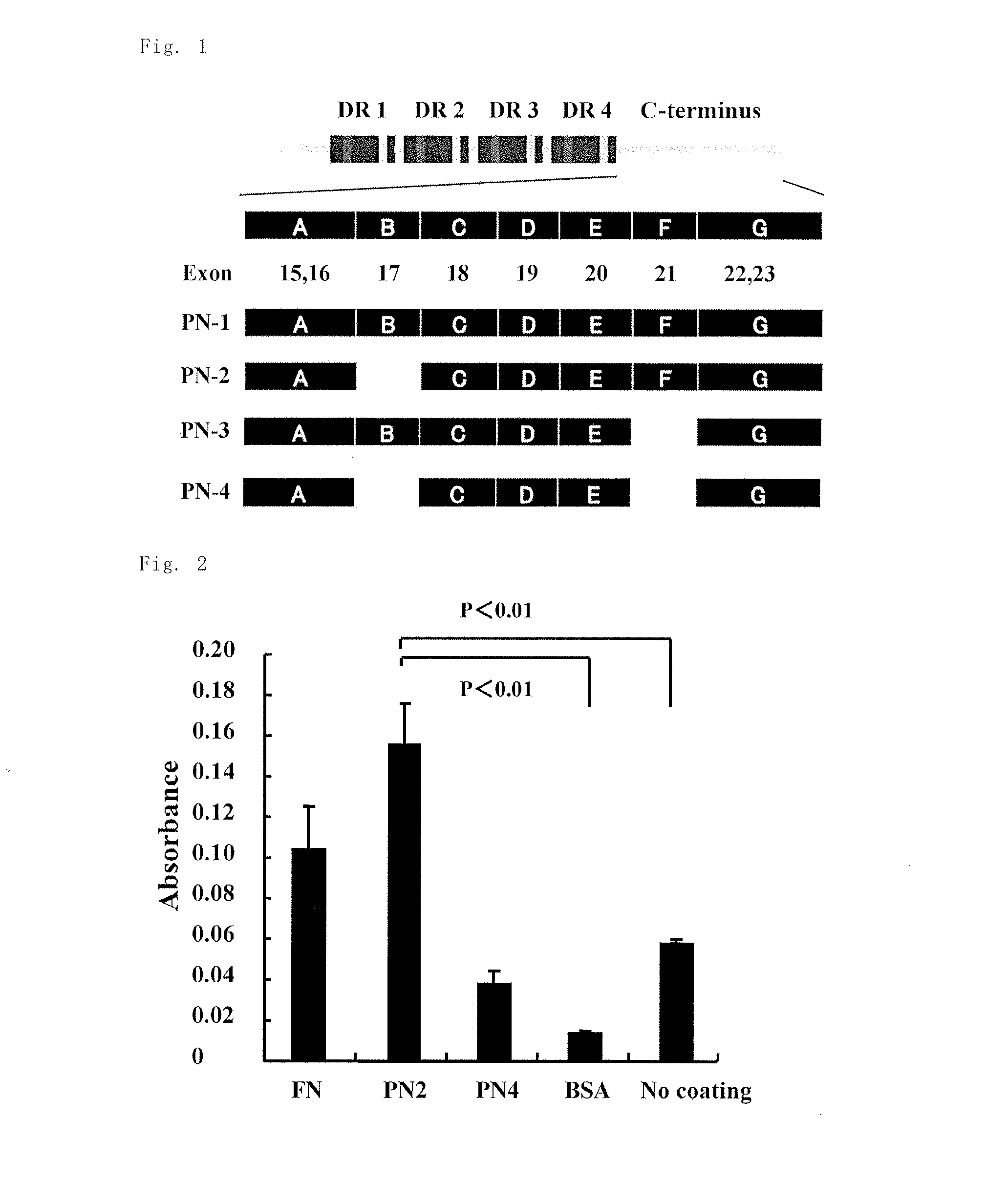 ANTIBODY TO PEPTIDE ENCODED BY Exon-21 OF PERIOSTIN, AND PHARMACEUTICAL COMPOSITION FOR PREVENTION OR TREATMENT OF INFLAMMATORY DISEASE CONTAINING SAID ANTIBODY