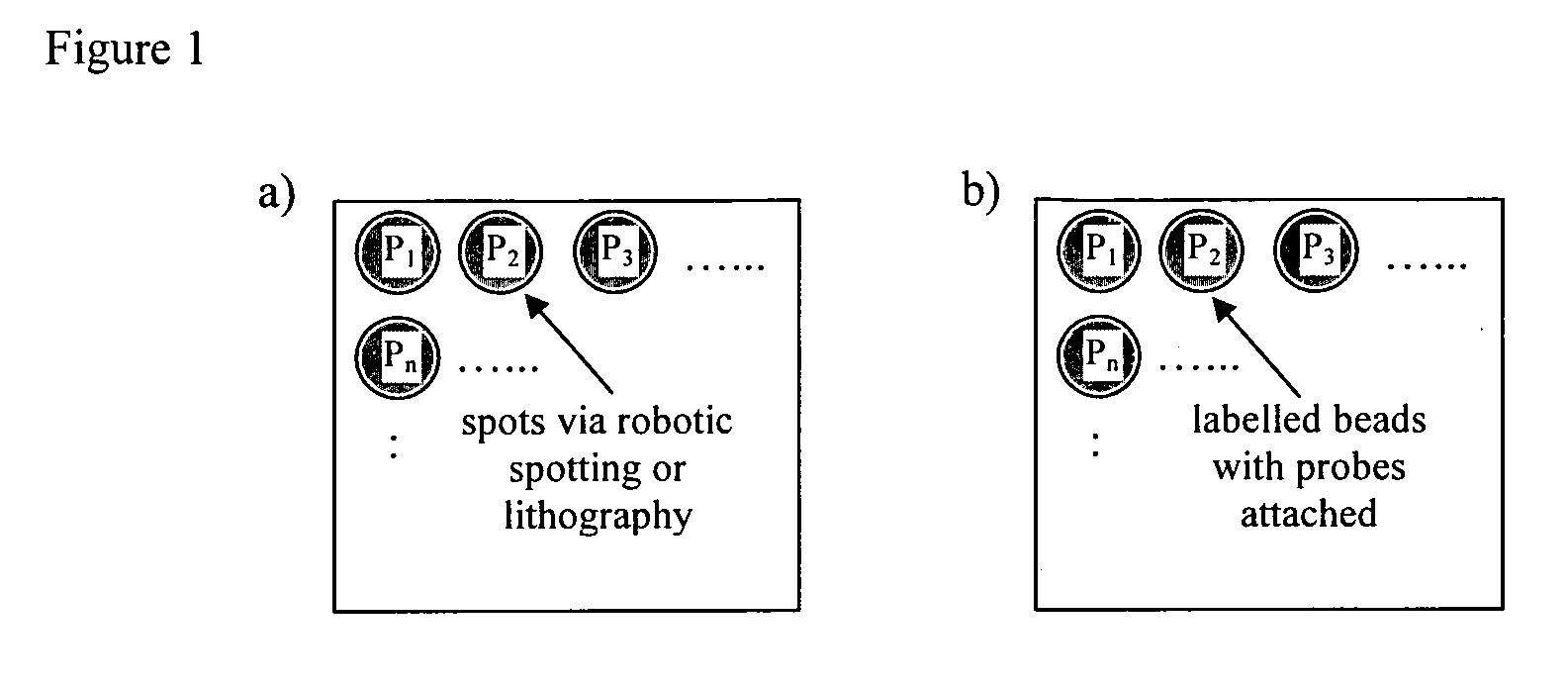 Method of detecting interactions on a microarray using nuclear magnetic resonance
