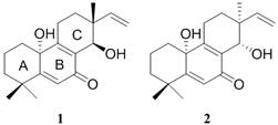 A kind of norditerpene compound and its preparation method and application