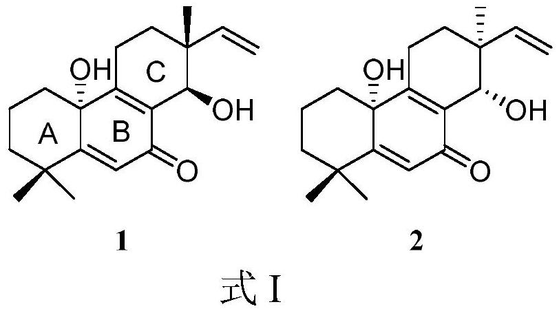 A kind of norditerpene compound and its preparation method and application