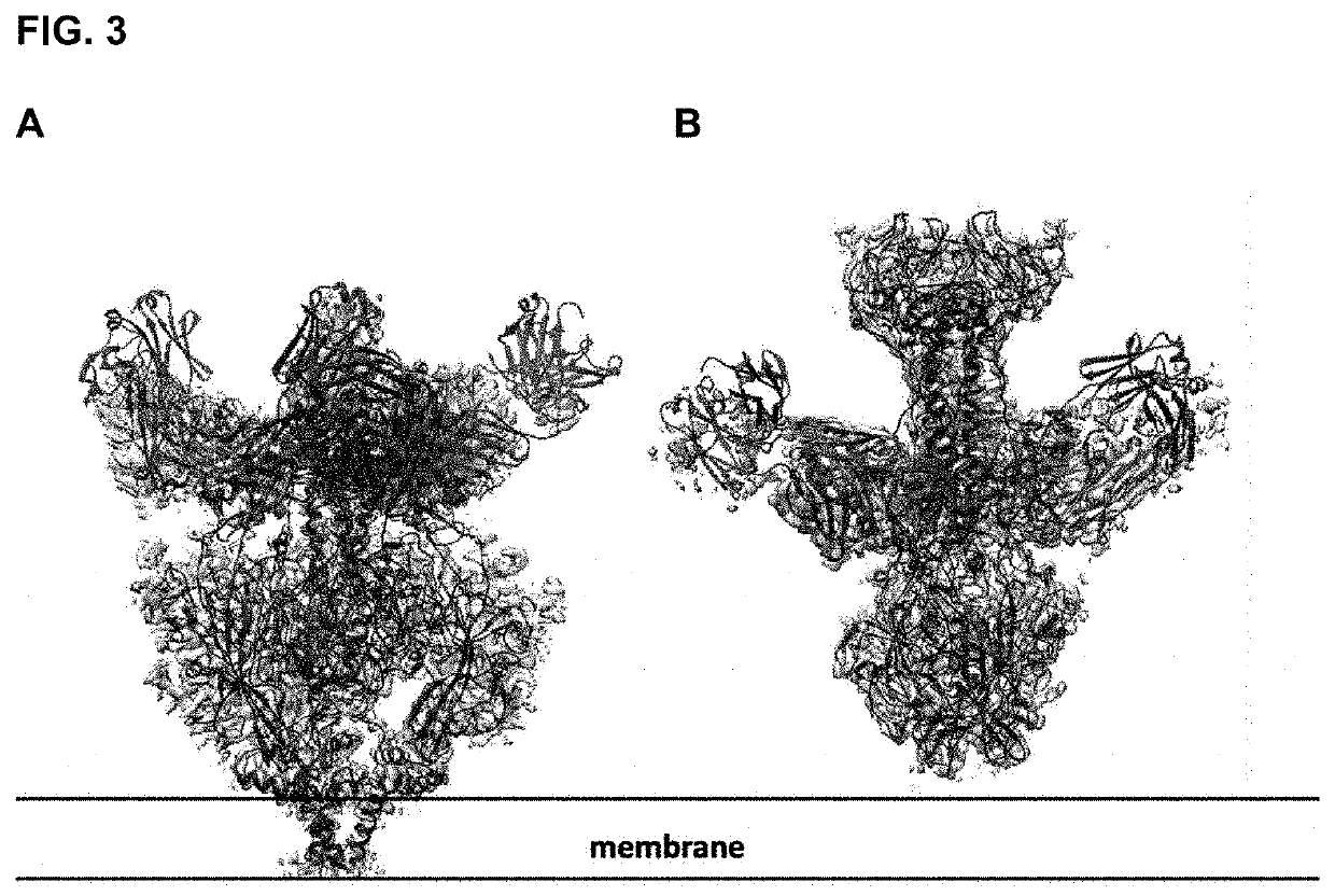 Human cytomegalovirus gb polypeptide