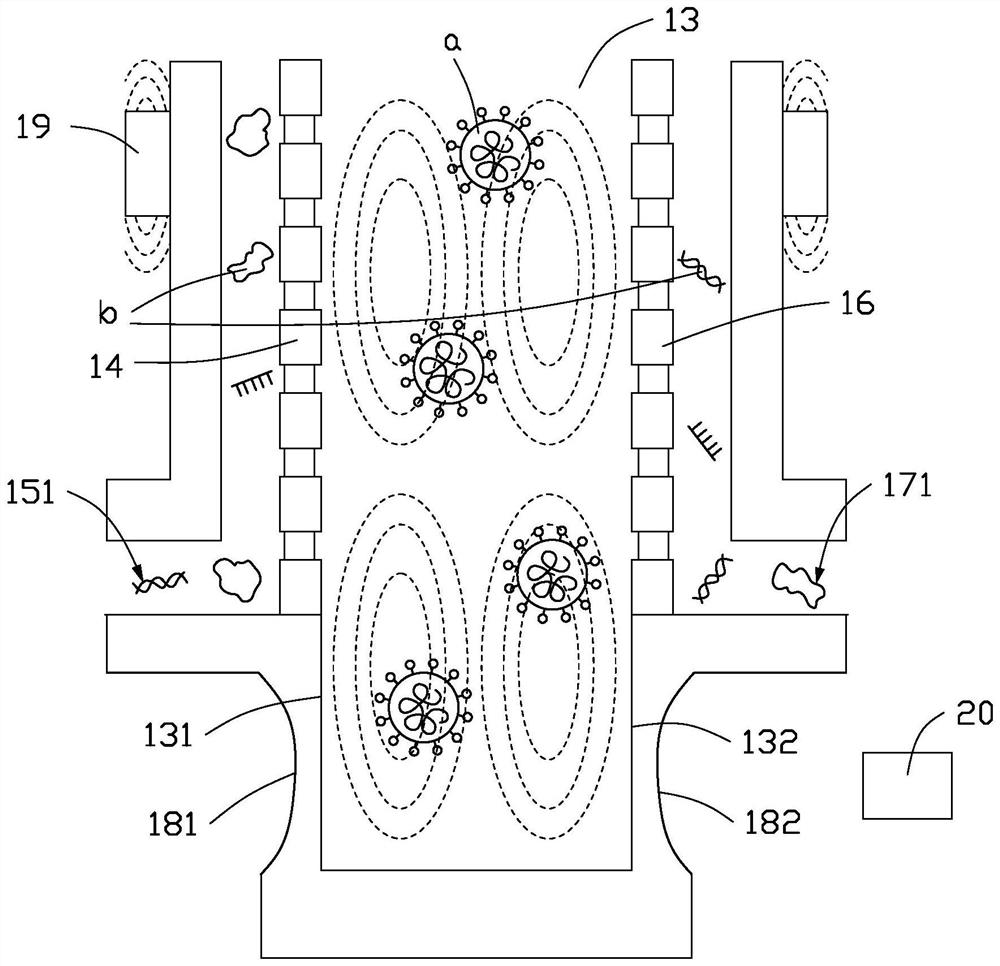 Separation detection chip, separation detection device and separation detection method