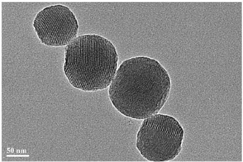 Folic acid modified ABT-737 loaded mesoporous silica nanoparticles, and preparation method thereof