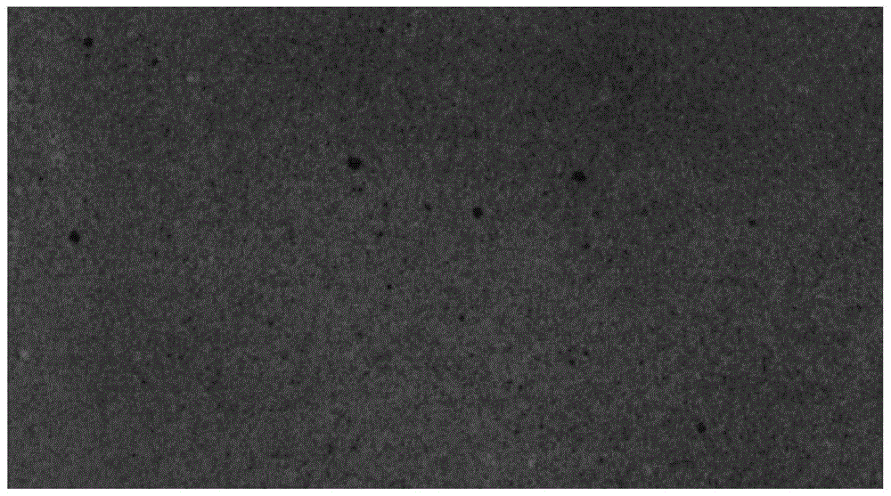 A Digital Image Analysis Method for Obtaining Object Deformation