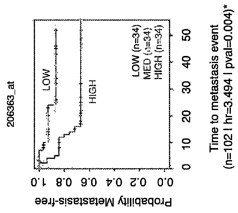 Method for the diagnosis, prognosis and treatment of lung cancer metastasis