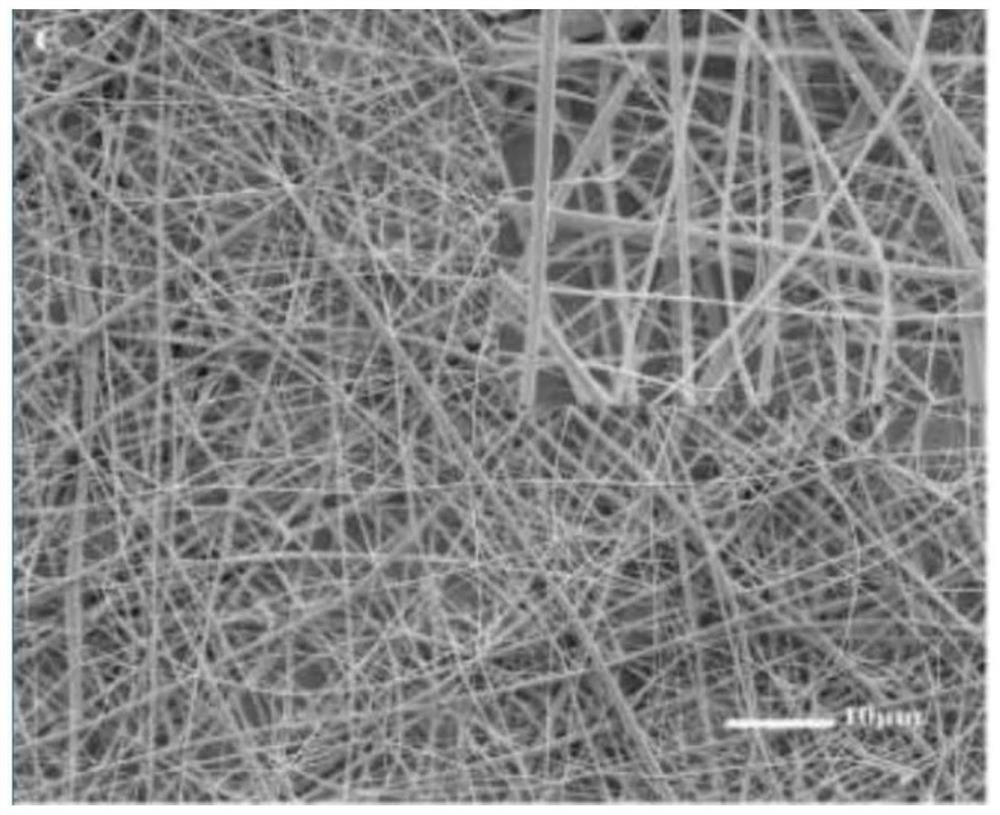 Preparation method and application of polylactic acid/chitosan/honeysuckle chlorogenic acid nanofiber membrane