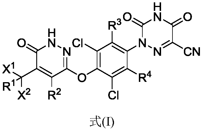 Substituted pyridazinone compound