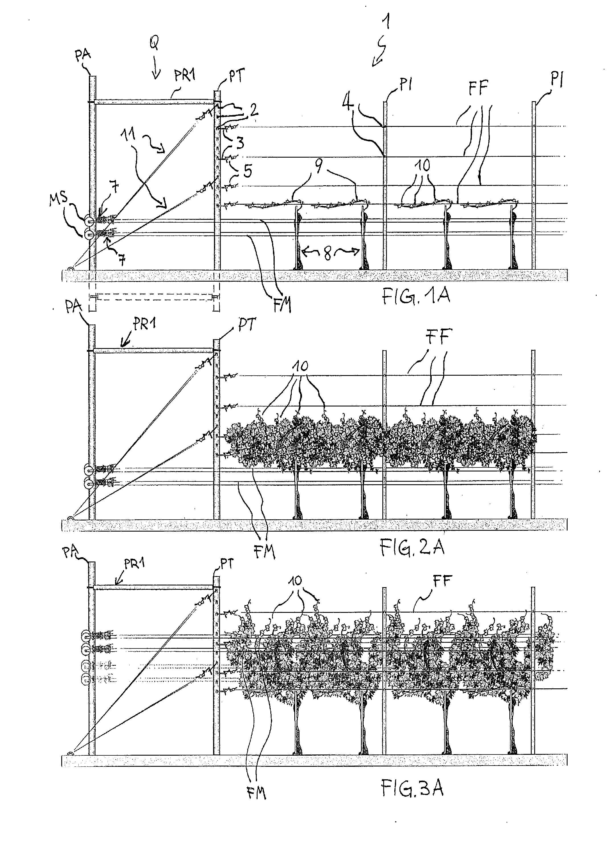 Device for fastening and adjusting the carrying wires on a row of plants