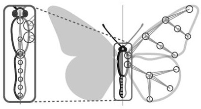 Lepidoptera insect model simulation and control method and system and readable storage medium