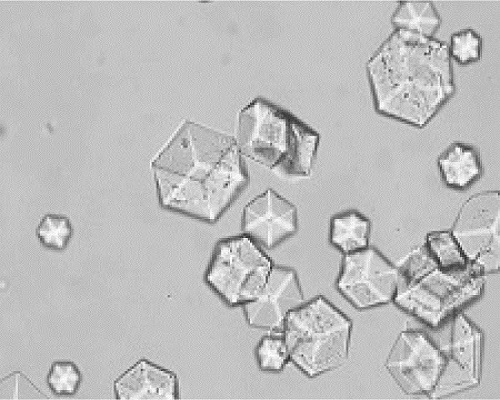 A method for efficiently removing residual organic solvents in insulin aspart