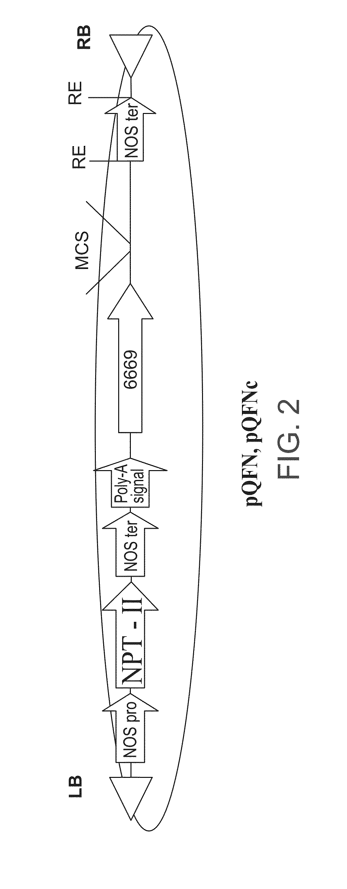 Isolated polynucleotides and polypeptides, and methods of using same for increasing plant yield and/or agricultural characteristics