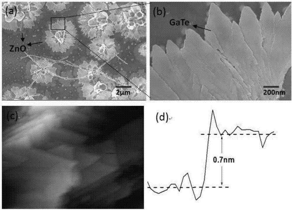 Controllable preparation method for realizing self-assembled nano-flowers of p-type laminar gallium telluride nano-sheets