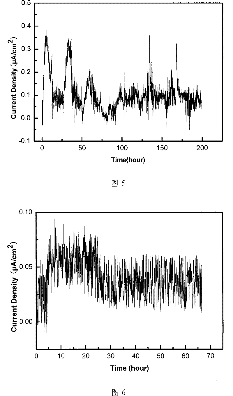 Apparatus and method for monitoring metal corrosion under organic coating