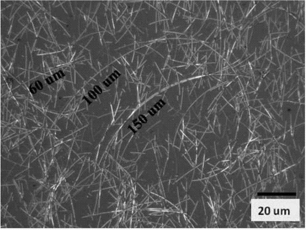 Preparation method of silver nanowire-zinc oxide composite transparent electrode