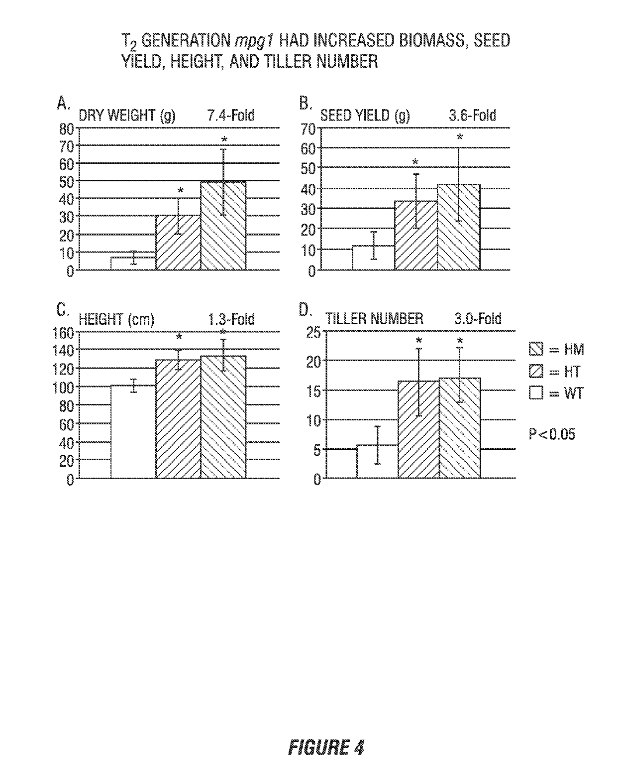 Modulation of rice mpg1 activity to increase biomass accumulation, grain yield, and stress tolerance in plants