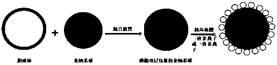 Core-satellite structure gold nanoparticle and preparation method thereof