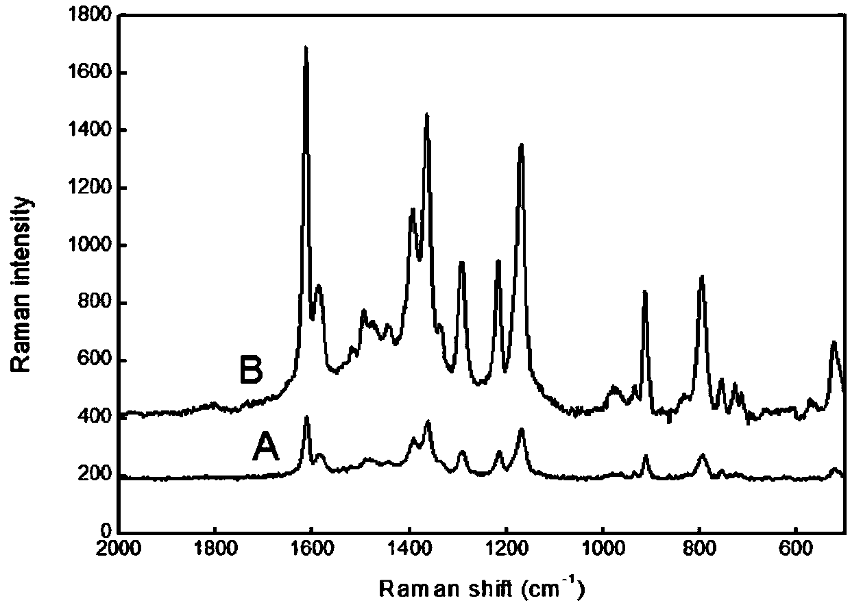 Core-satellite structure gold nanoparticle and preparation method thereof