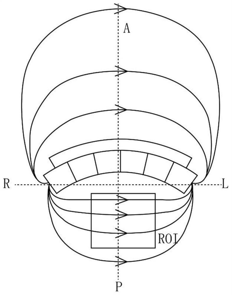 A portable NMR organ elasticity non-invasive quantitative detection system