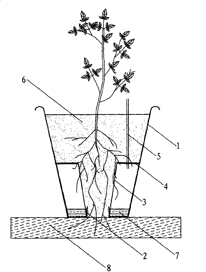 Non-soil/soil cultivation apparatus