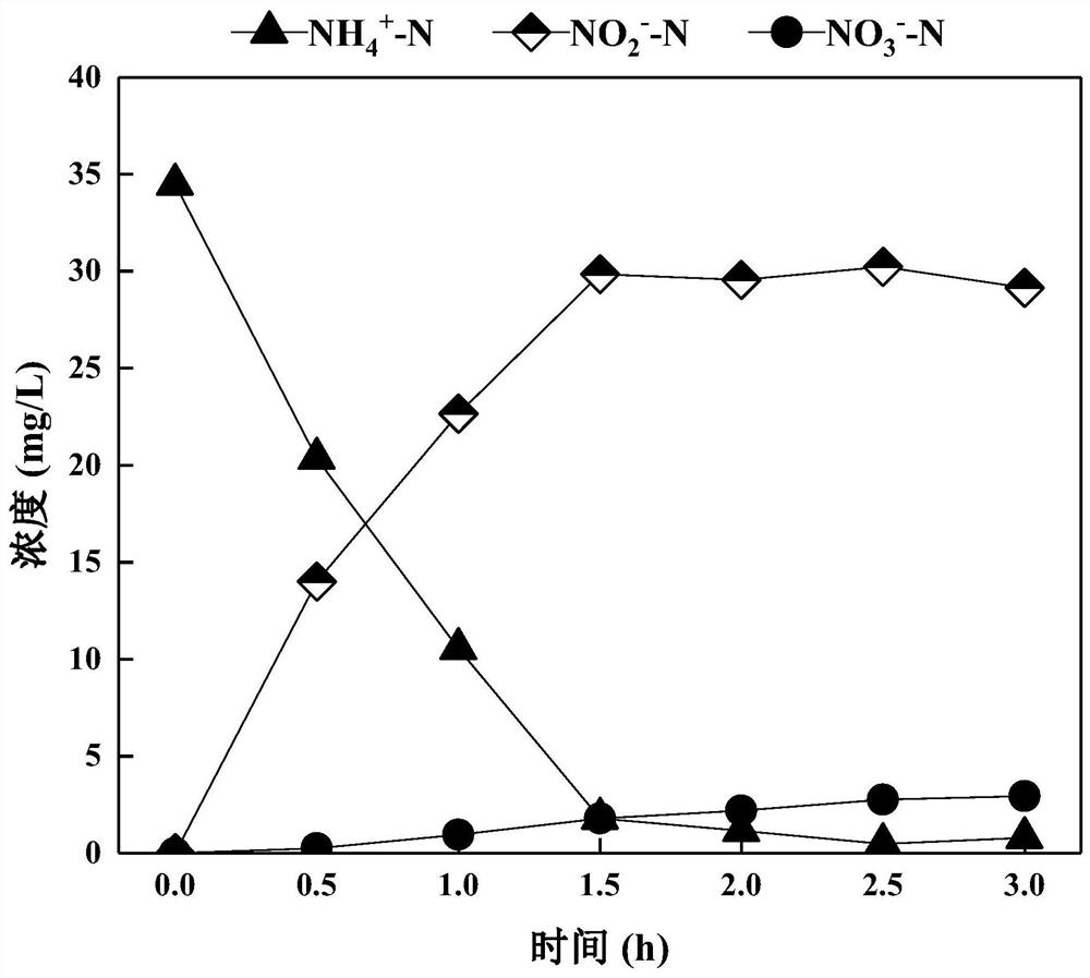 Method for rapidly starting and stably maintaining normal-temperature short-cut nitrification of municipal sewage by using phenacetin