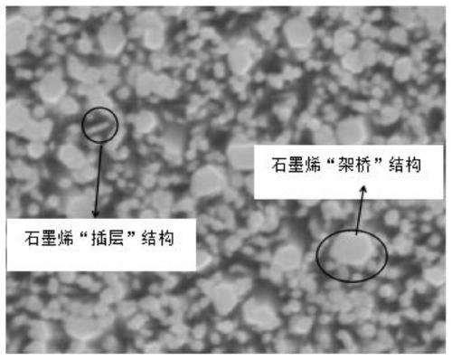 Antistatic peelable protective glue composition and preparation method thereof