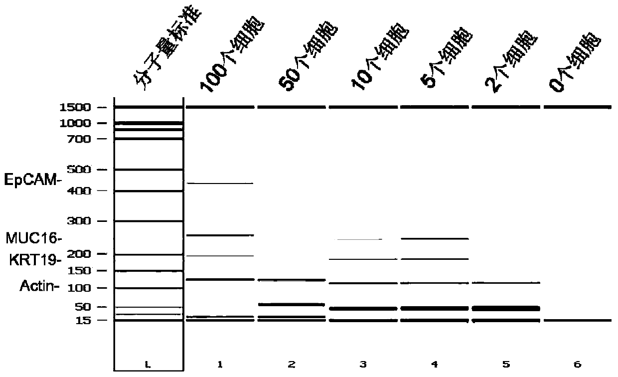 A kit for detecting markers of pancreatic cancer cells in peripheral blood