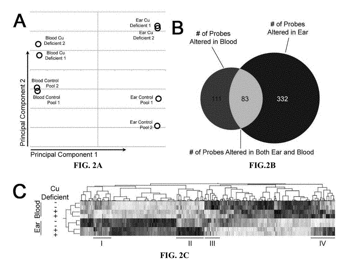 Methods for predicting and reducing risk of copper deficiency in a ruminant subject or a ruminant herd