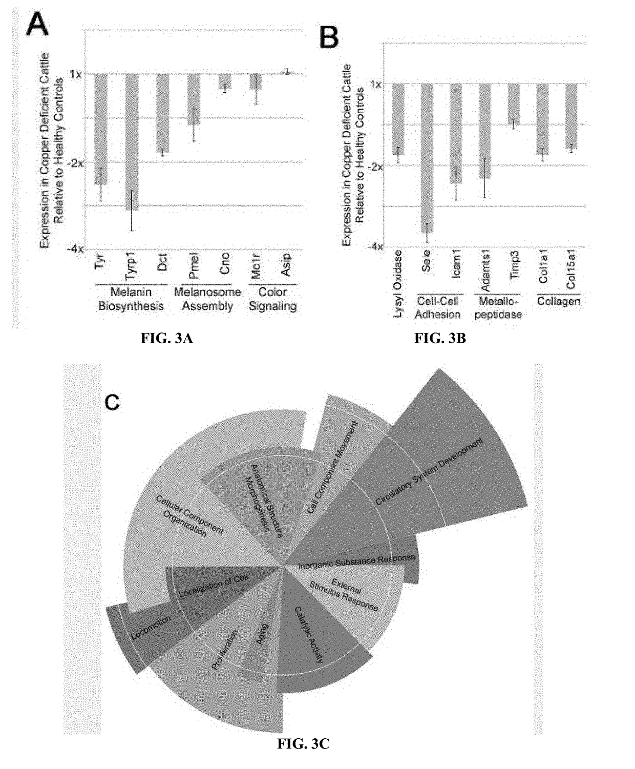 Methods for predicting and reducing risk of copper deficiency in a ruminant subject or a ruminant herd