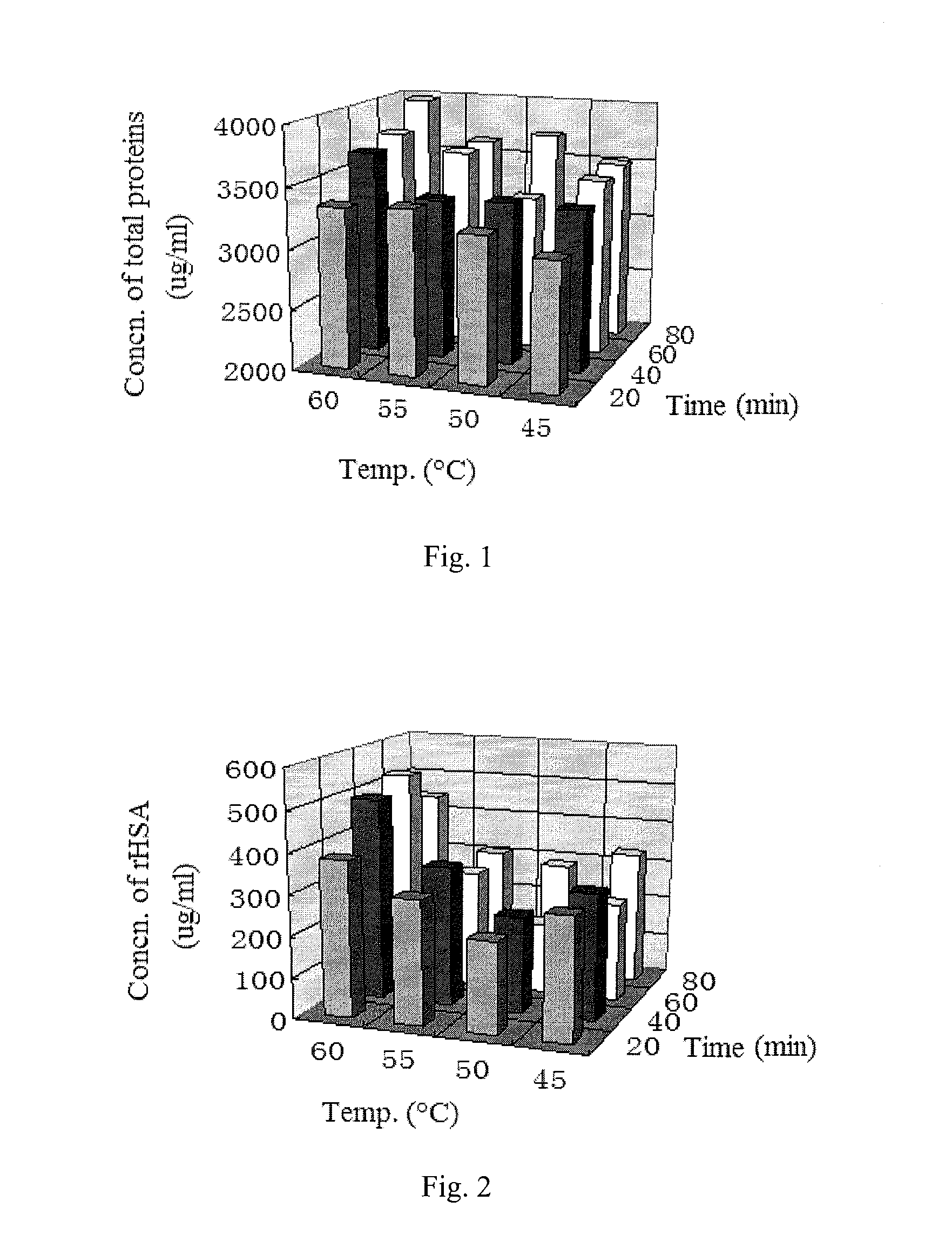 Method for extracting recombinant human serum albumin from transgenic rice grain