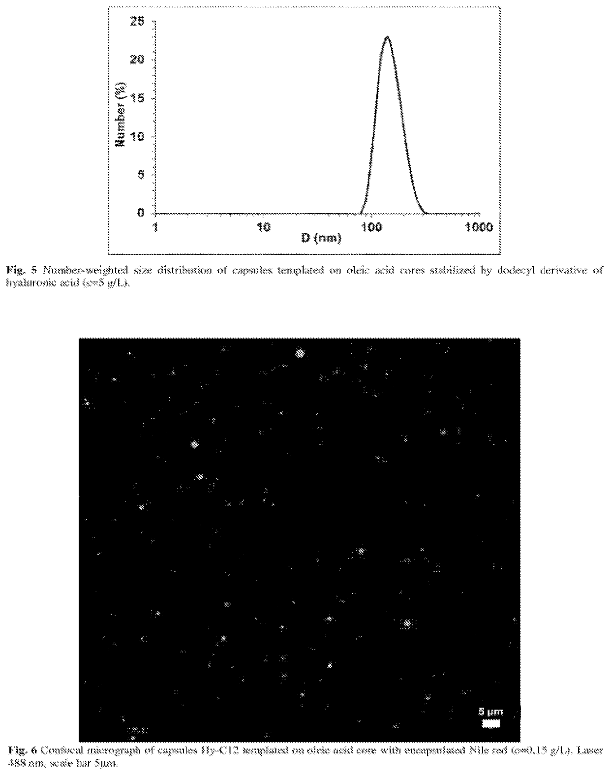 Nanocapsule for delivery of lipophilic compound and process of preparation thereof