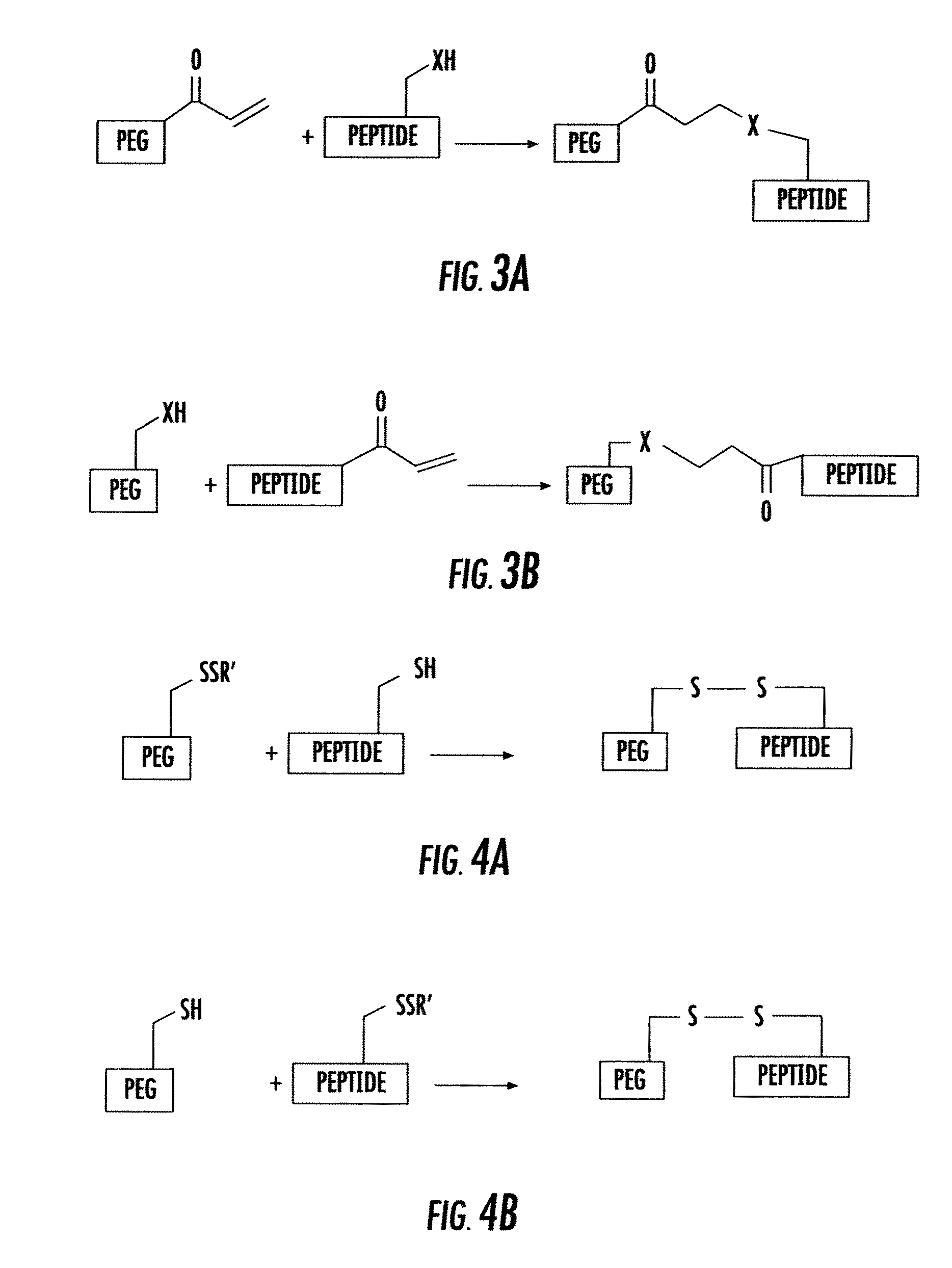 Derivates of Polyethylene Glycol Modified Thymosin Alpha 1
