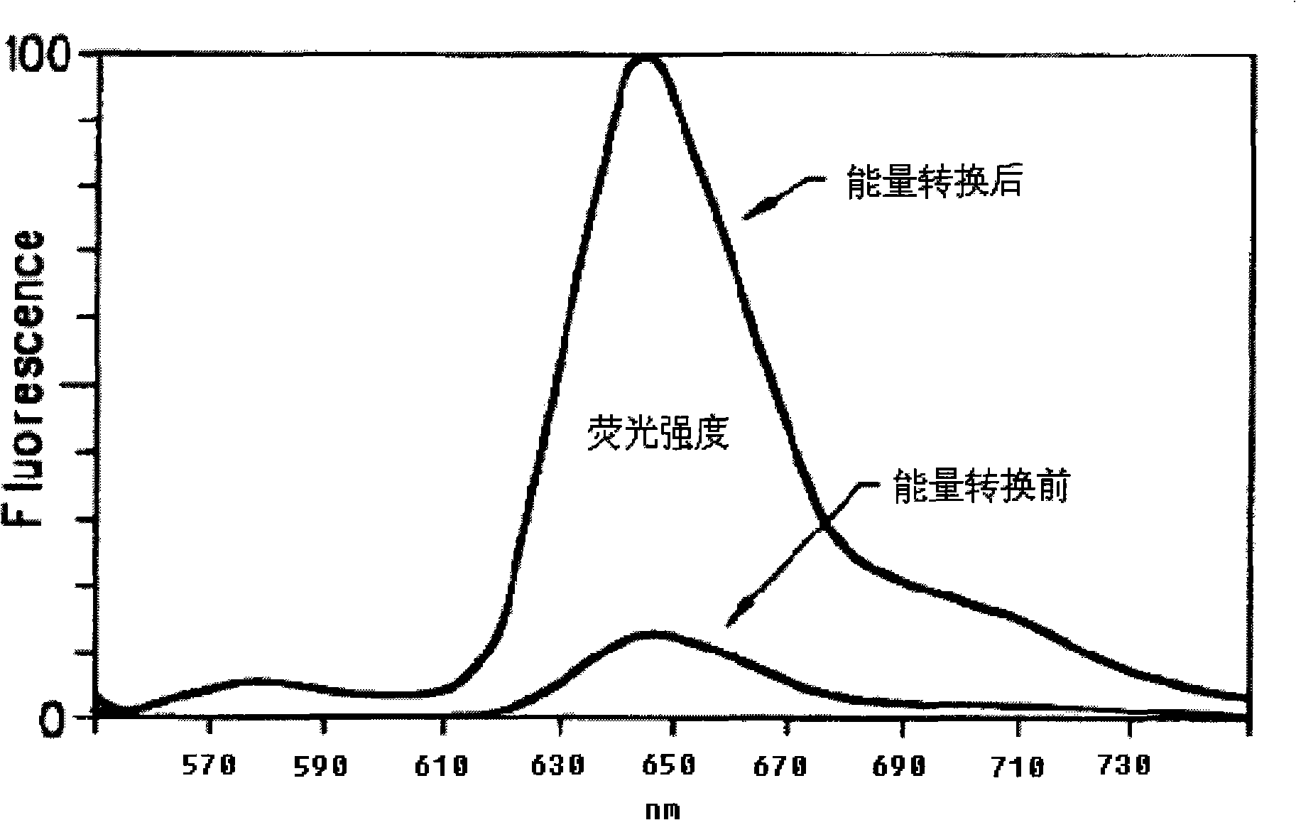Fluorochrome for marking oligonucleotide and protein, method for preparing same and use