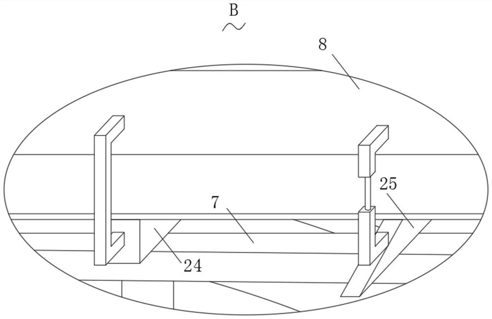 Grain counting machine with screening function for nut packaging machine