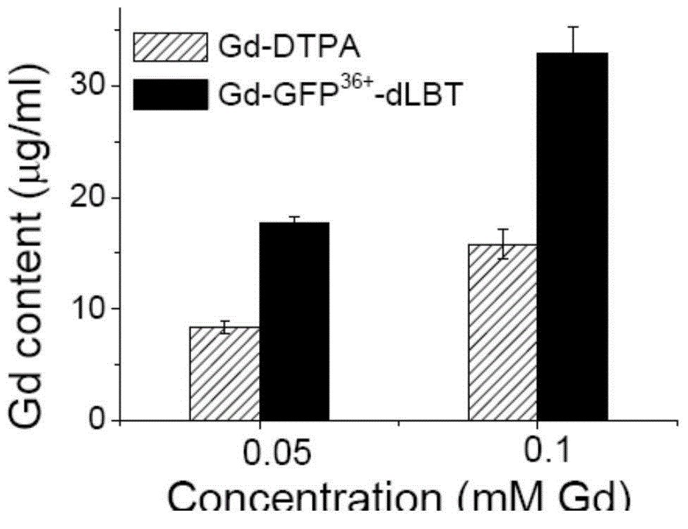 Fusion protein and preparation method thereof