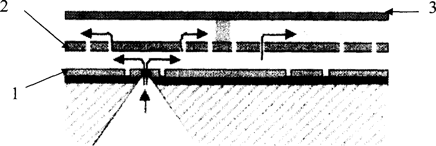 Deformation mirror and method for preparing the same