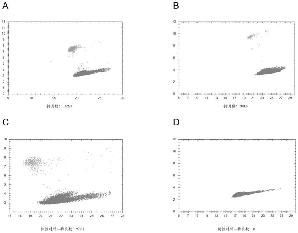 Micro-drop type digital PCR method for detecting fish nervous necrosis virus and corresponding kit