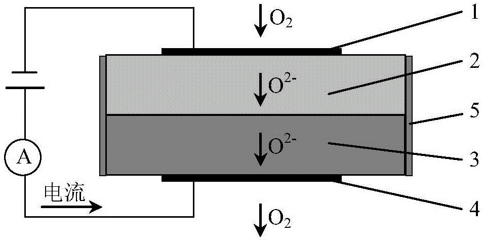 Spin coating preparation method for dense diffusion barrier layer of limiting current type oxygen sensor