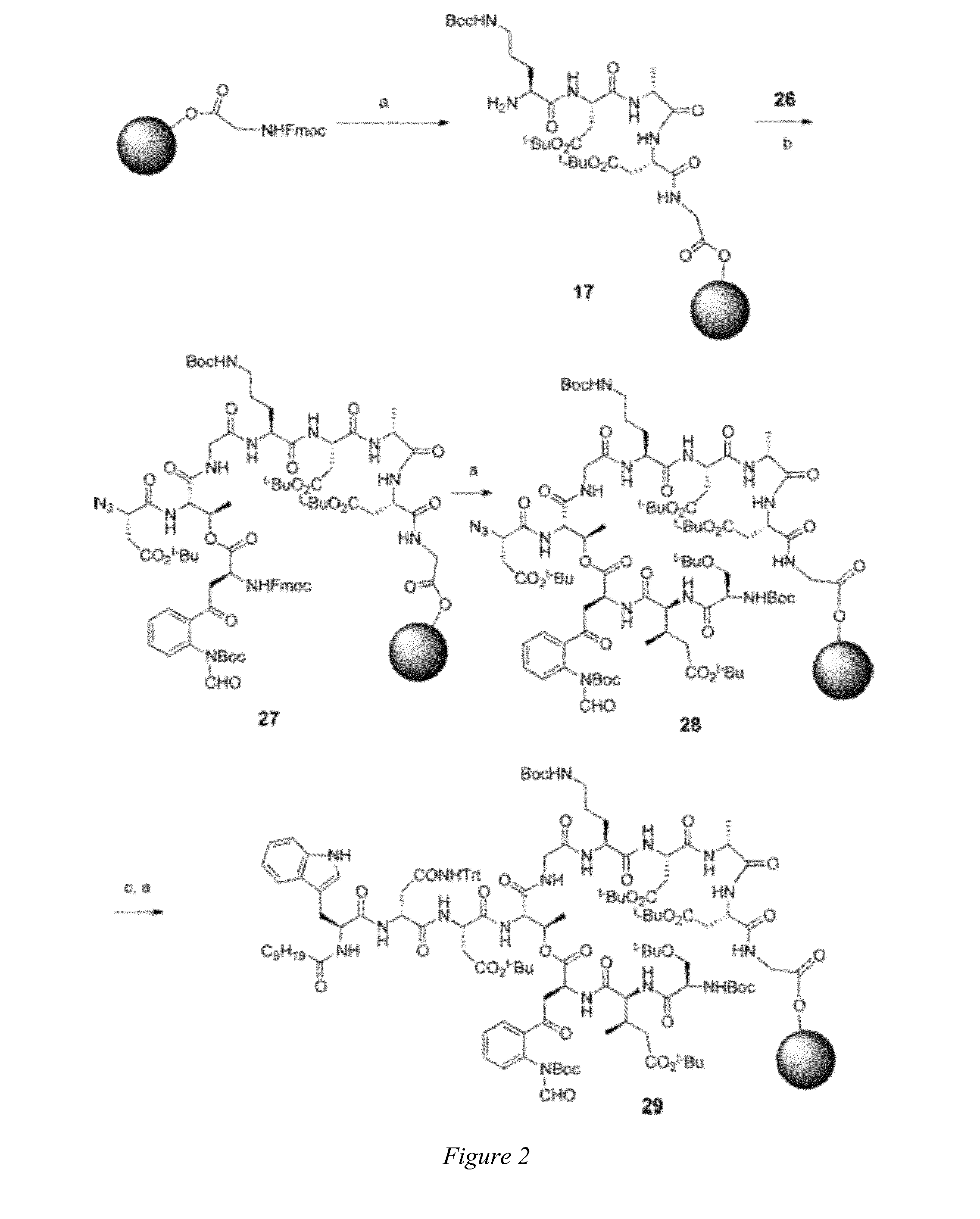 Daptomycin analogues and a method for the preparation of daptomycin or a daptomycin analogue