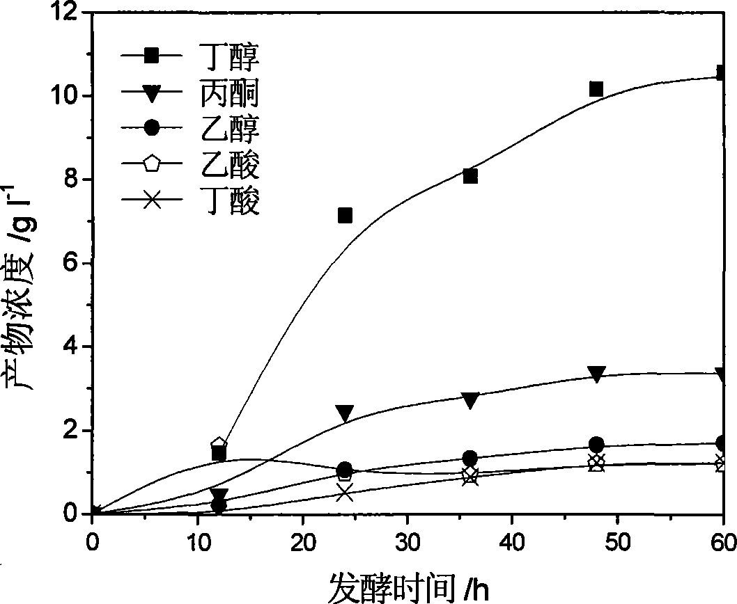 Method for producing butanol and butanedioic acid by fermentation