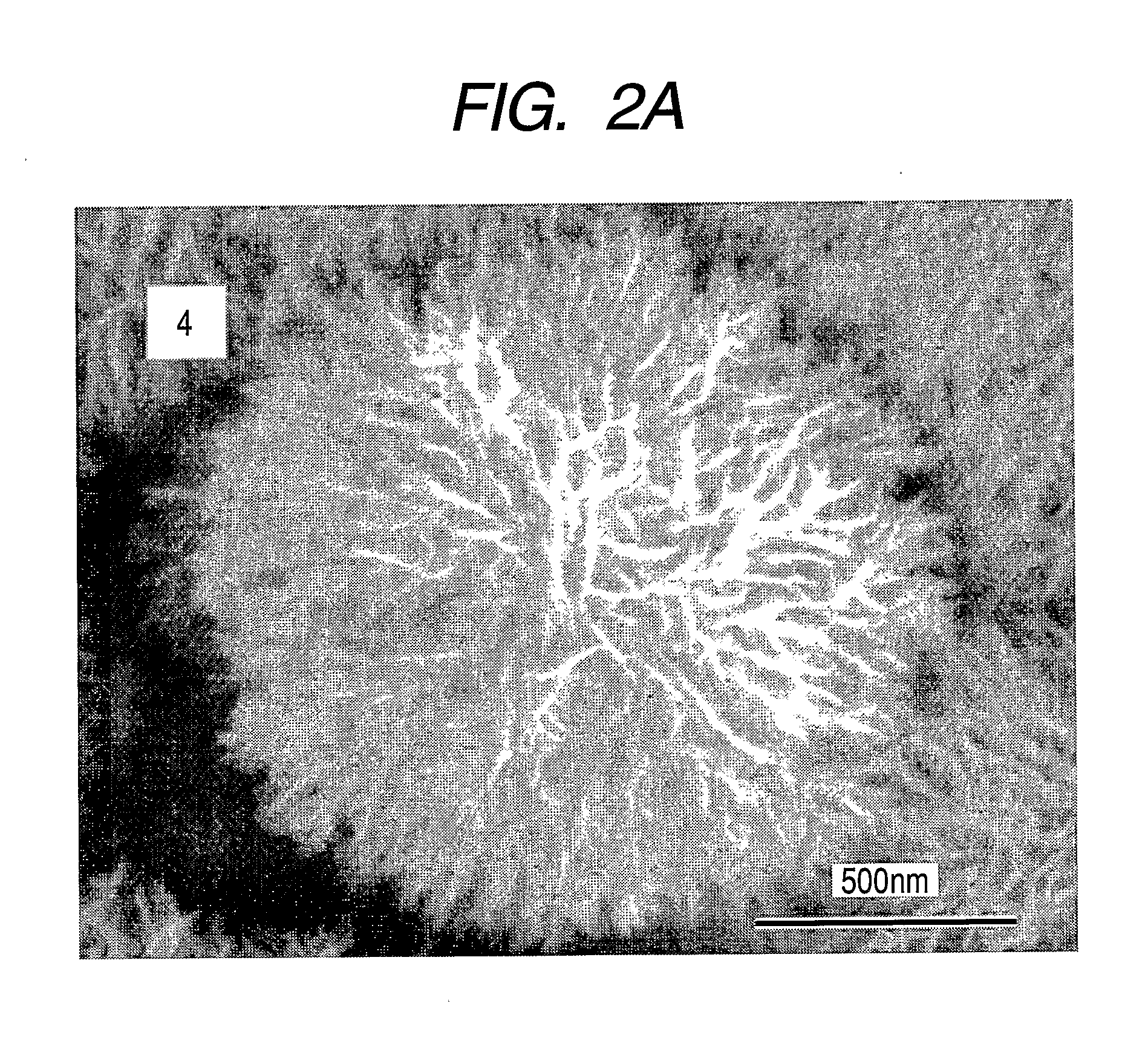 Catalyst Layer for Solid Polymer Electrolyte Fuel Cell and Method of Producing