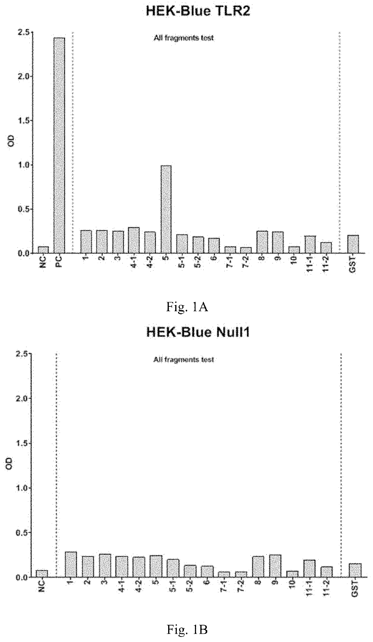 Peptide interacting with toll-like receptor 2 and the composition comprising the same