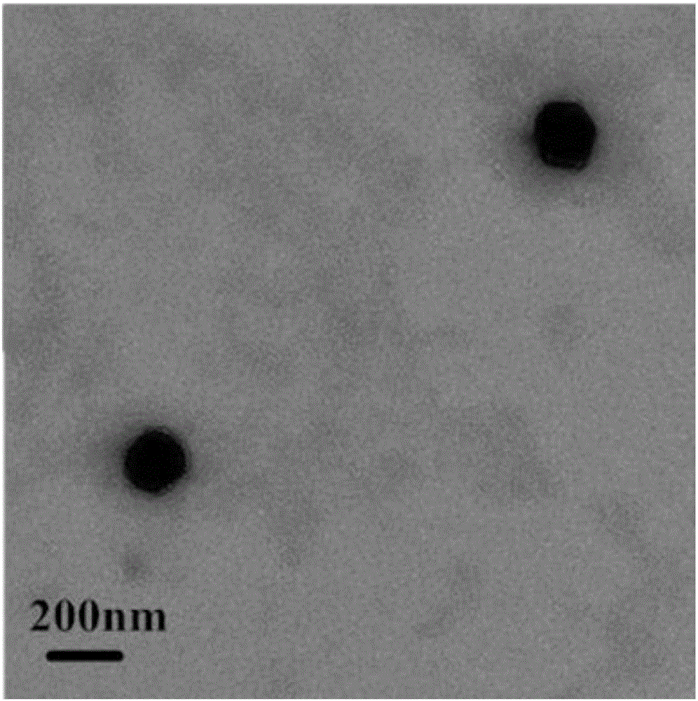 Oleanolic acid liposome coated with nanogold spherical shell and preparation method thereof